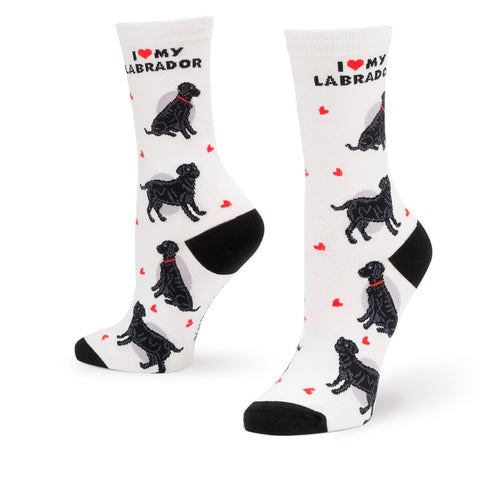 I LOVE MY LARBRDOR