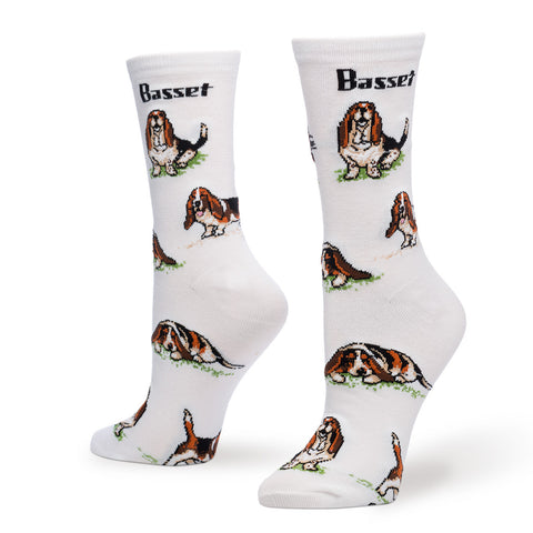BASSET POSES