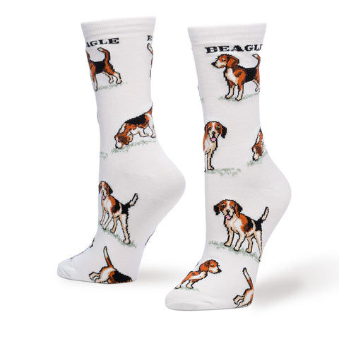 BEAGLE POSES