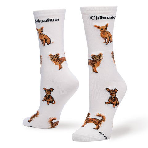 CHIHUAHUA POSES