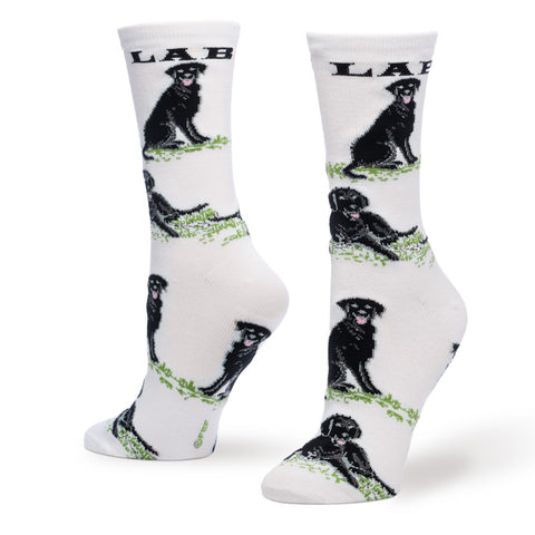 BLACK LAB POSES
