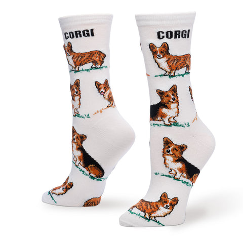CORGI POSES