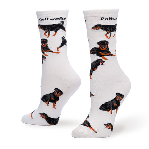 Rottweiler Poses