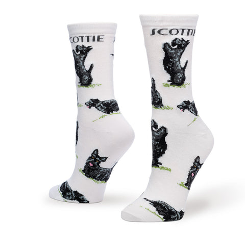 SCOTTIE POSES