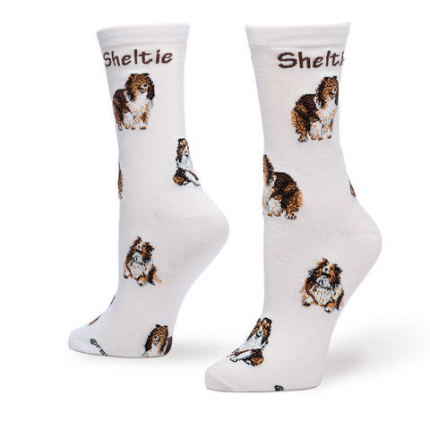 SHELTIE POSES