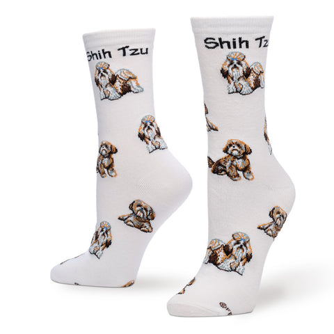 Shih Tzu Poses