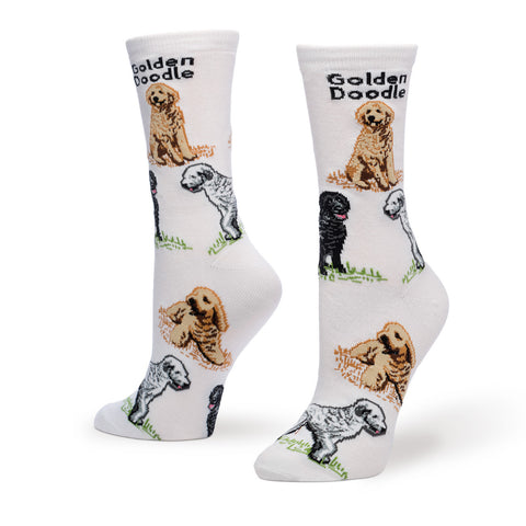 GOLDEN DOODLE POSES