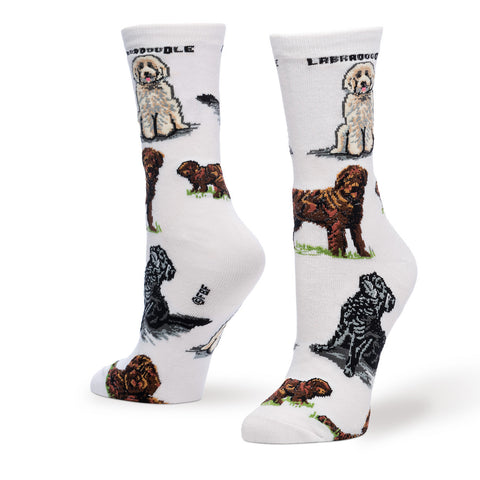 LABRADOODLE POSES