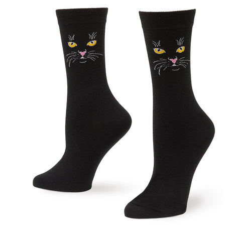 Black Cat