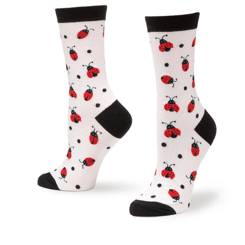 New Ladybugs