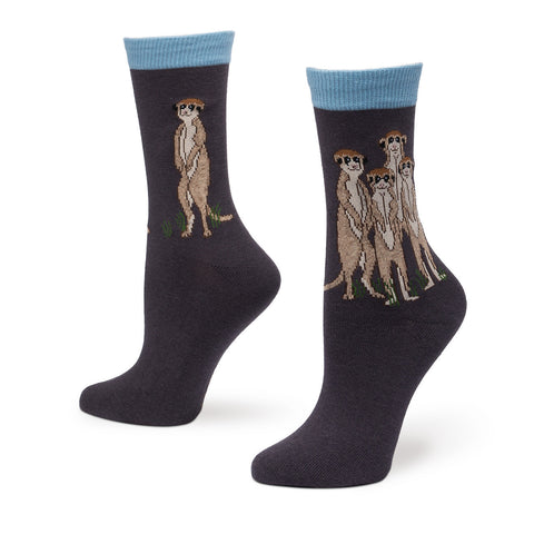 Meerkats