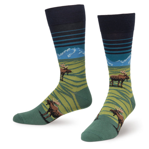 The Moose Mountain Scene