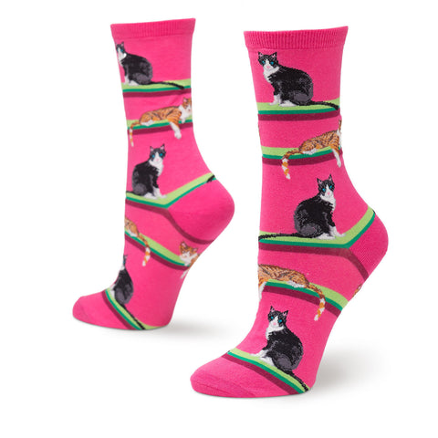 Cats