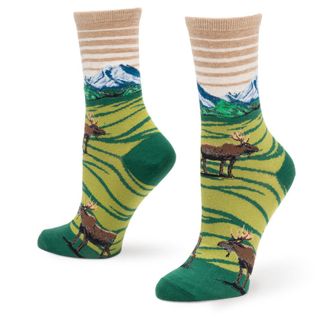 Moose Mountain Scene