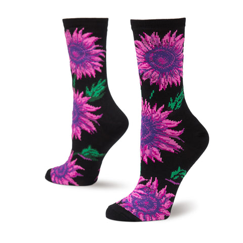 Pop Sunflowers