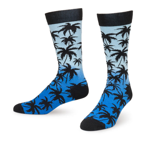 Palm Tree