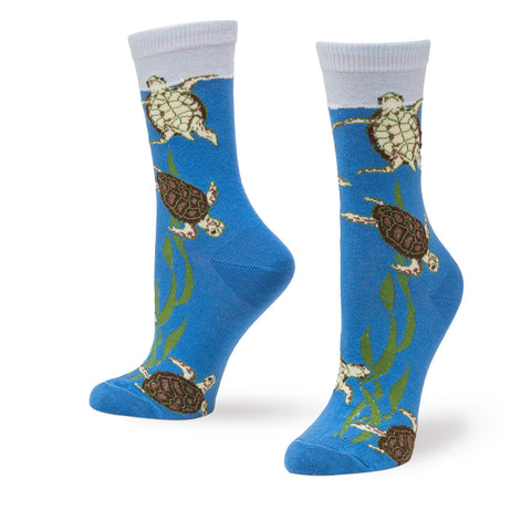 TURTLES IN KELP