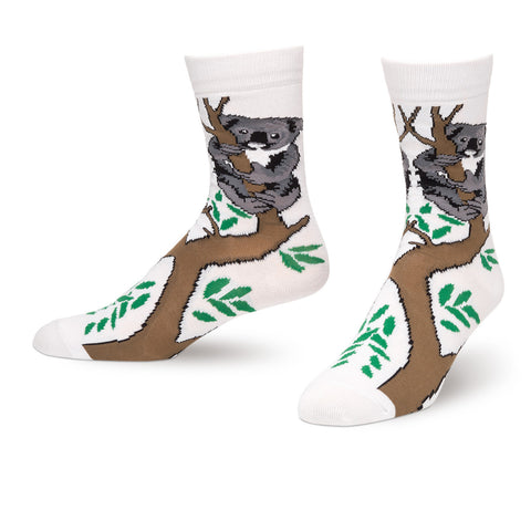 KOALA BEAR ON TREE SOCKS